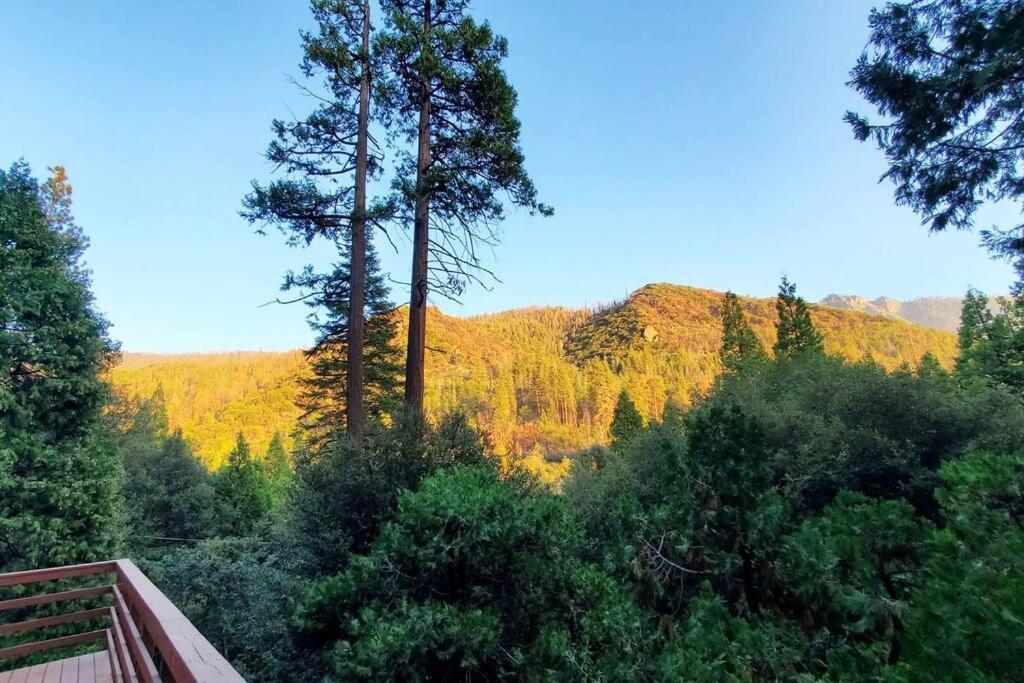 Redwood Retreat, Mountains, Adventure And Nature Ponderosa Exteriér fotografie