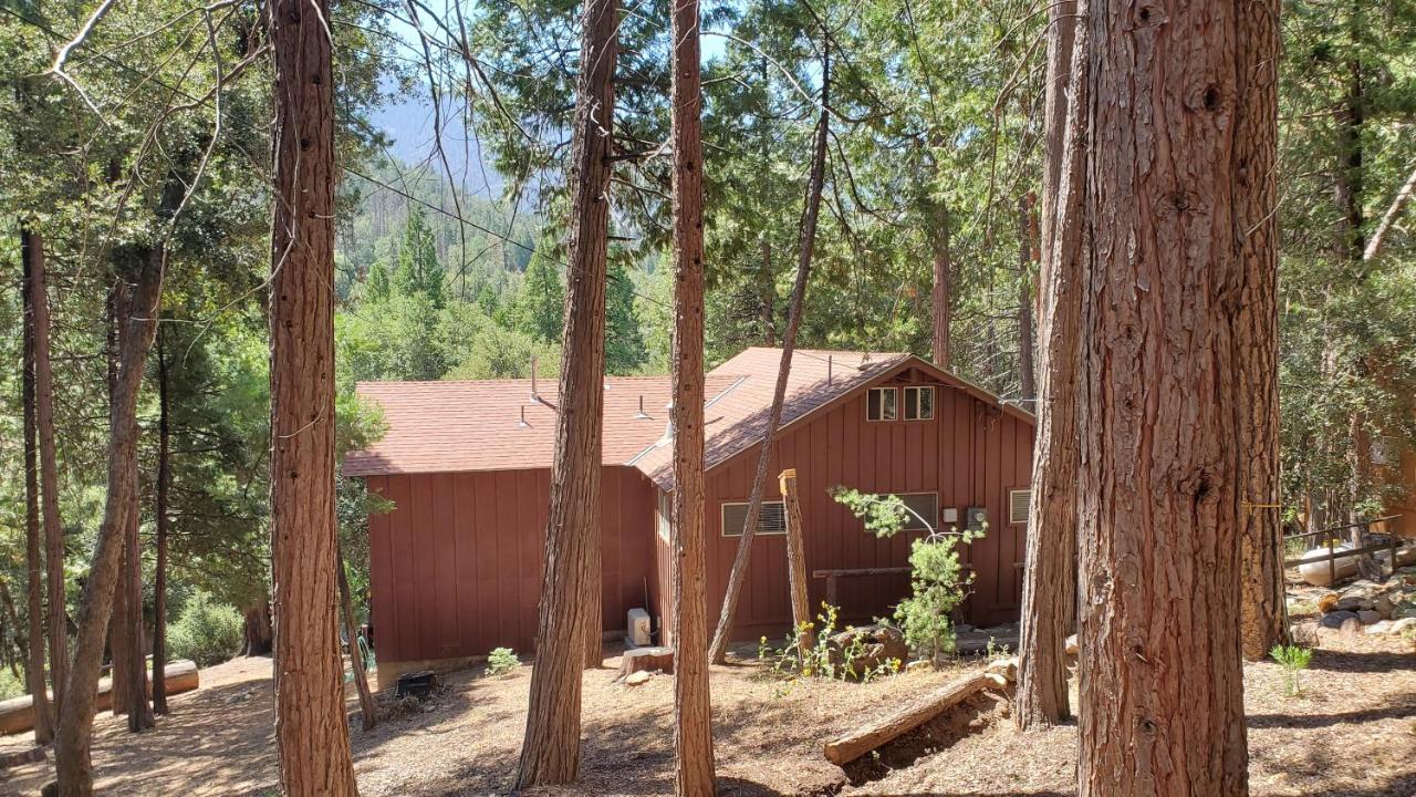 Redwood Retreat, Mountains, Adventure And Nature Ponderosa Exteriér fotografie