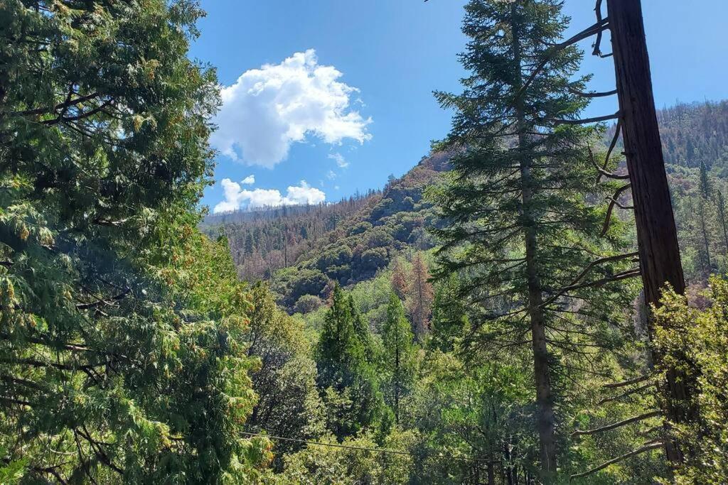 Redwood Retreat, Mountains, Adventure And Nature Ponderosa Exteriér fotografie