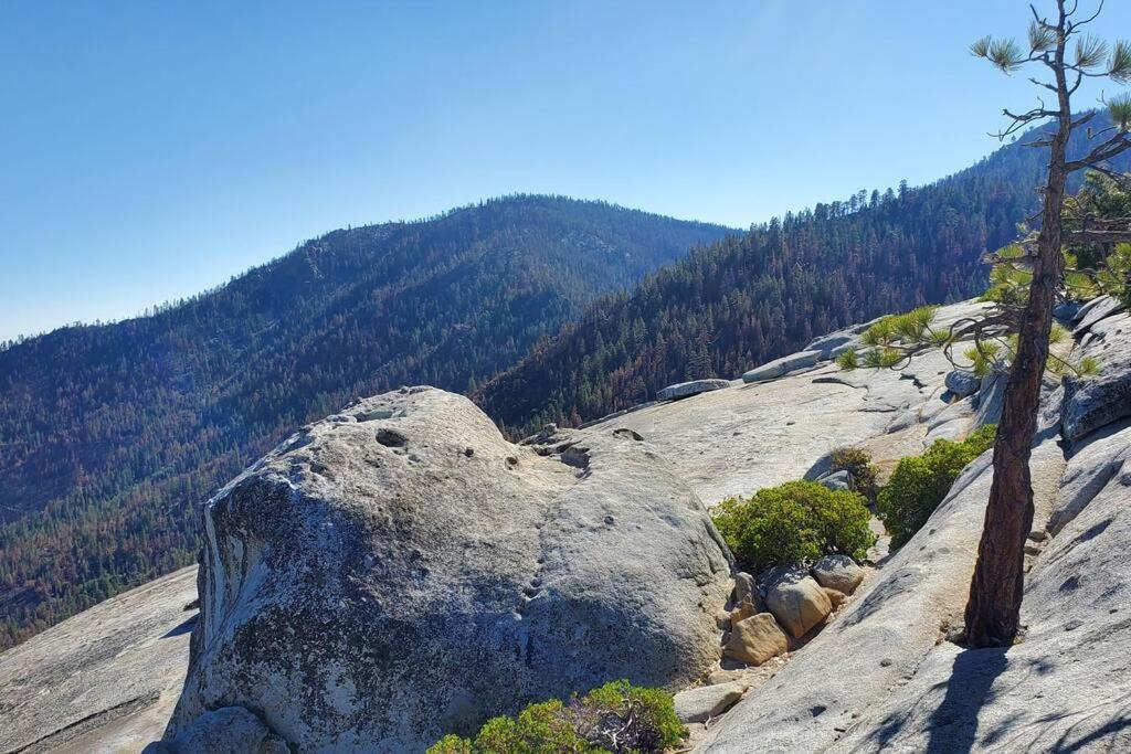 Redwood Retreat, Mountains, Adventure And Nature Ponderosa Exteriér fotografie