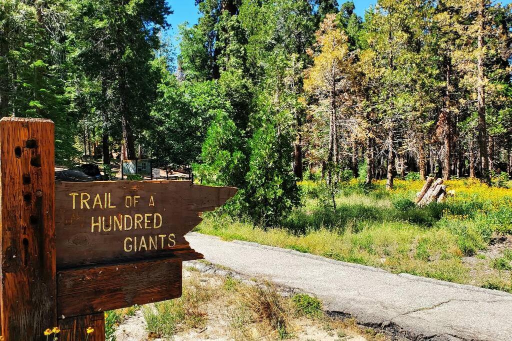 Redwood Retreat, Mountains, Adventure And Nature Ponderosa Exteriér fotografie