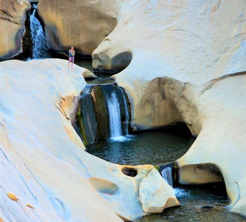 Redwood Retreat, Mountains, Adventure And Nature Ponderosa Exteriér fotografie